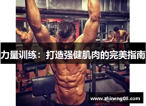 力量训练：打造强健肌肉的完美指南